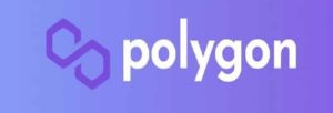 explication du projet polygon
