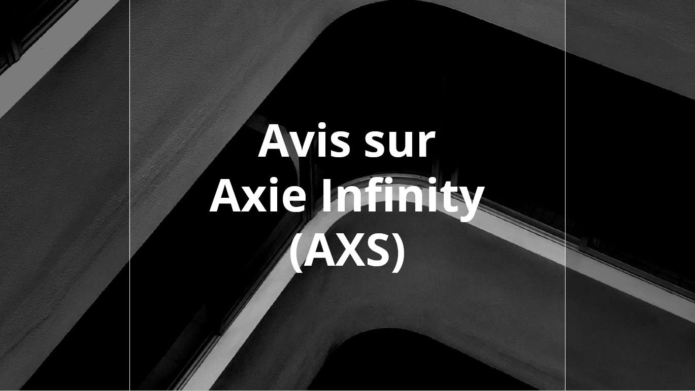 avis sur axie infinity (axs)